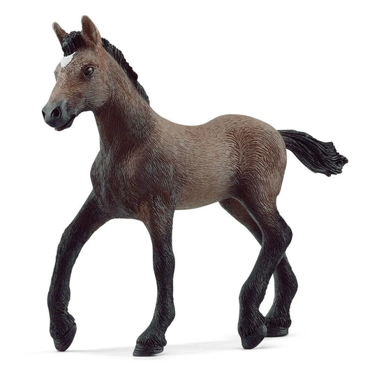 SC Peruvian Pasco Foal (7647856099527)