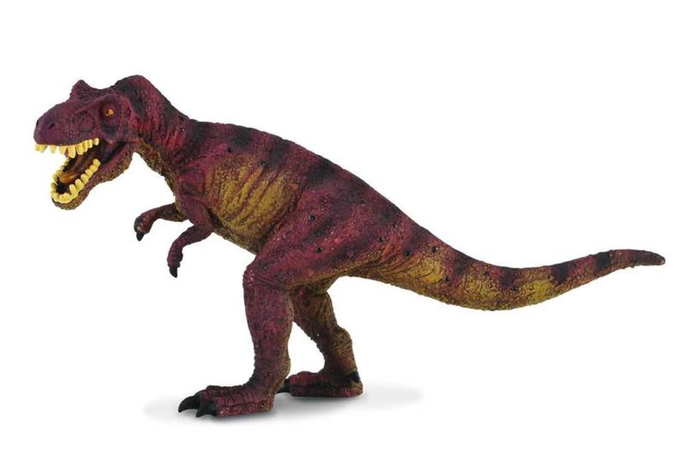 CO Tyrannosaurus Rex (L) (6096504488135)