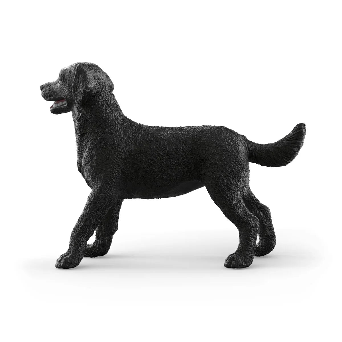 SC Black Labrador Retriever Female (Red)