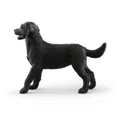 SC Black Labrador Retriever Female (Red)