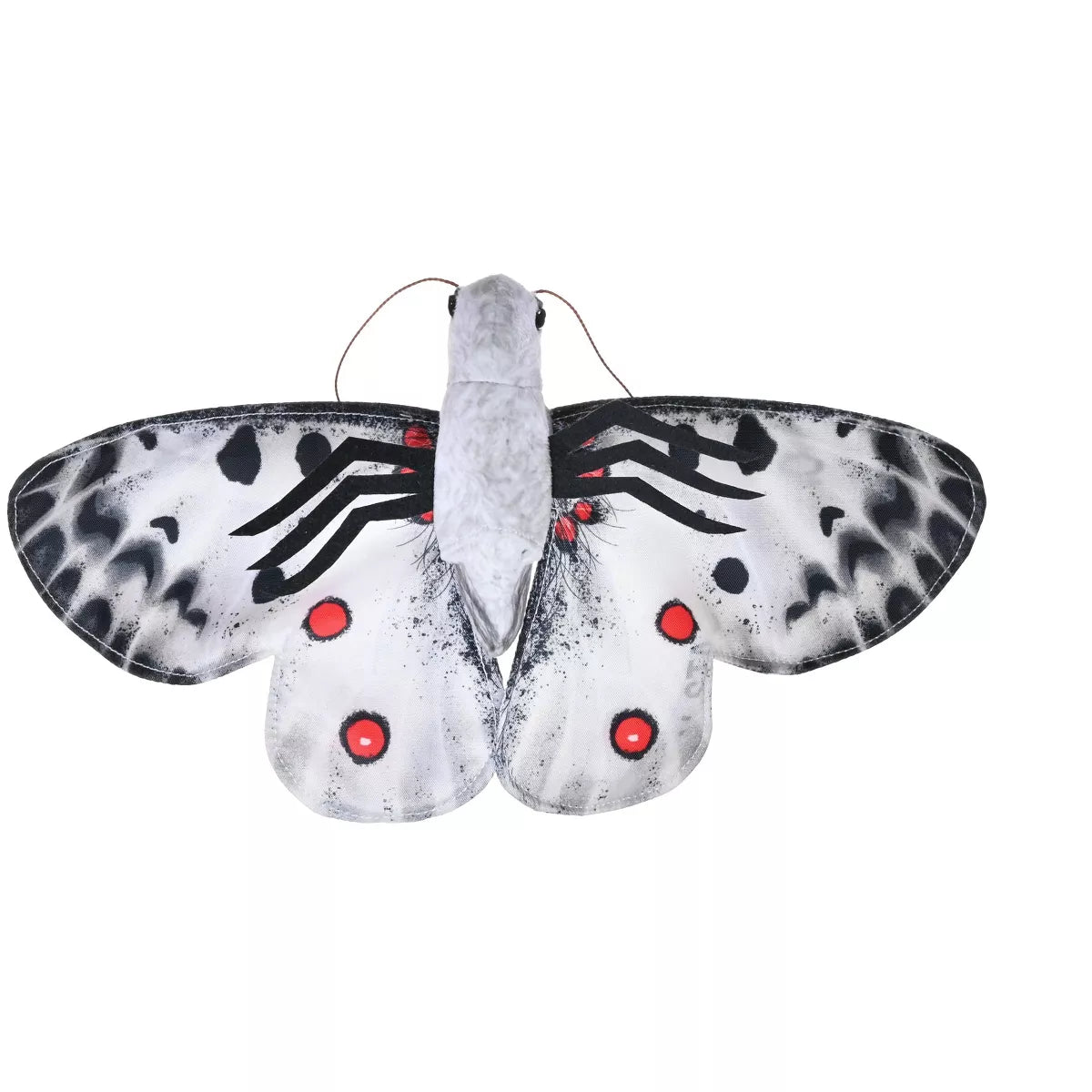 WR Butterfly Apollo 7" (8385783070919)