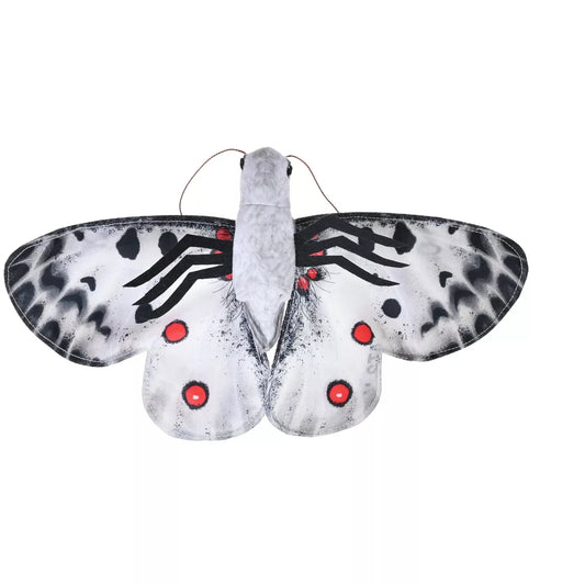 WR Butterfly Apollo 7" (8385783070919)