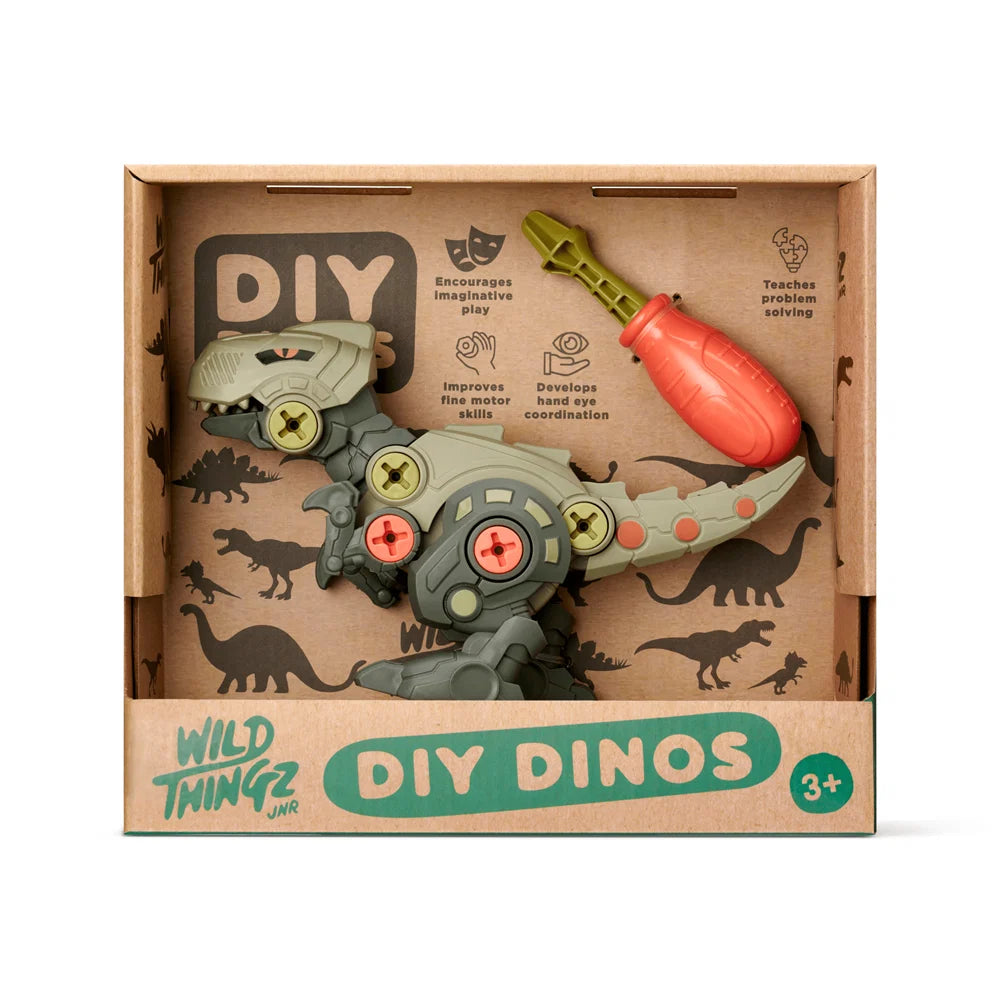 Wild Thingz Jnr DIY T Rex