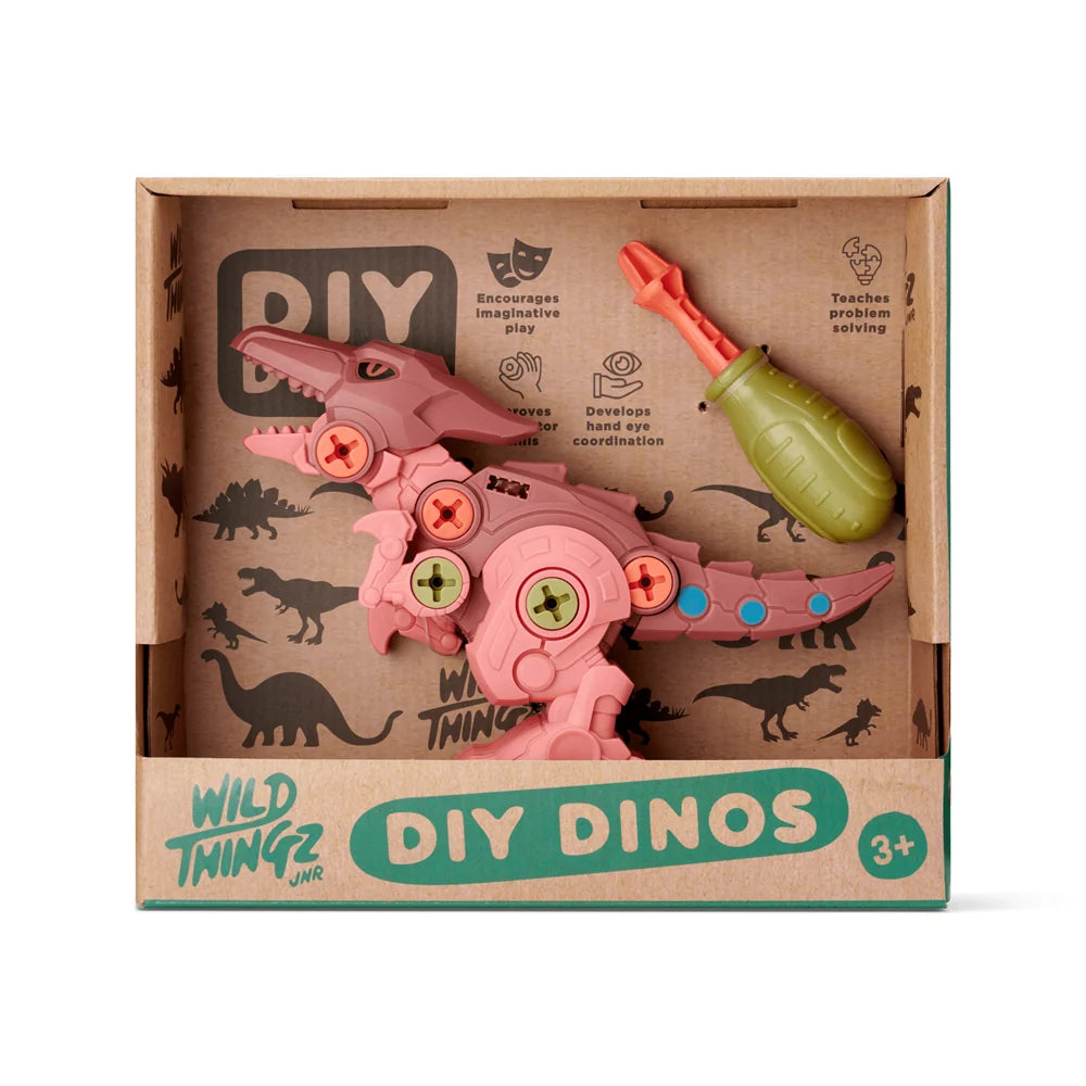 Wild Thingz Jnr DIY Pterosaur