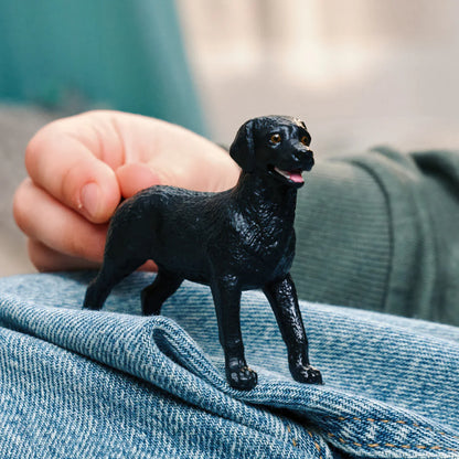 SC Black Labrador Retriever Female (Red)