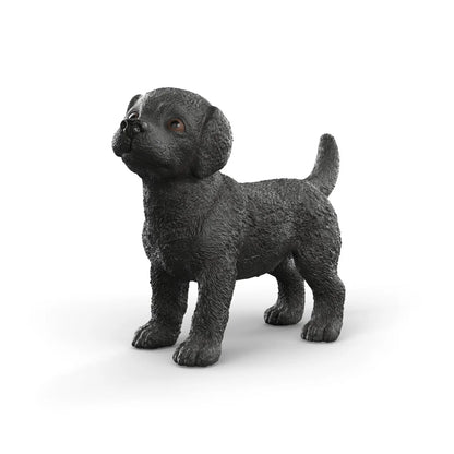 SC Black Labrador Retriever Puppy (Green)