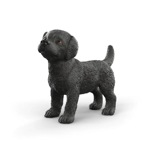 SC Black Labrador Retriever Puppy (Green)