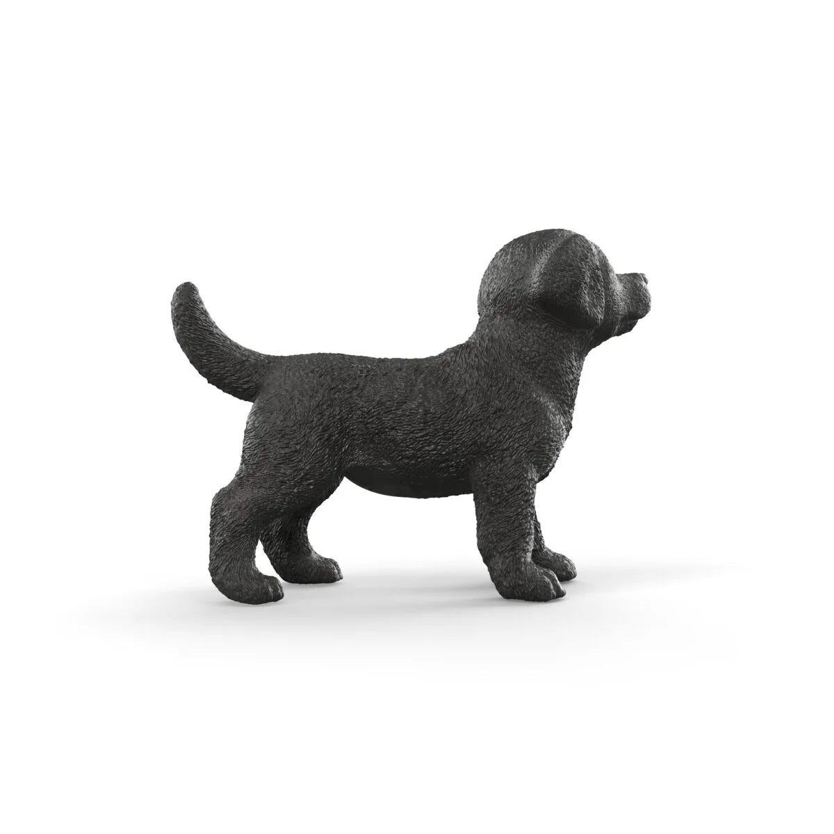 SC Black Labrador Retriever Puppy (Green)