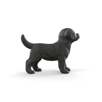 SC Black Labrador Retriever Puppy (Green)
