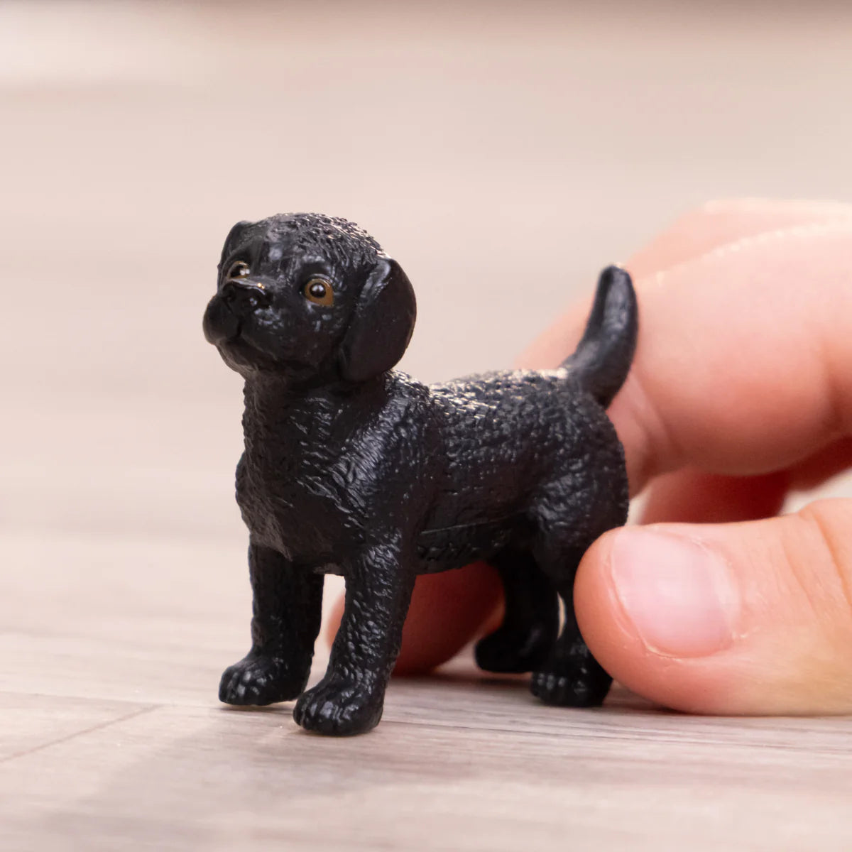 SC Black Labrador Retriever Puppy (Green)