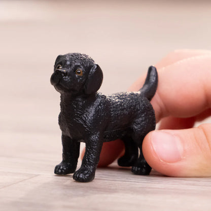 SC Black Labrador Retriever Puppy (Green)