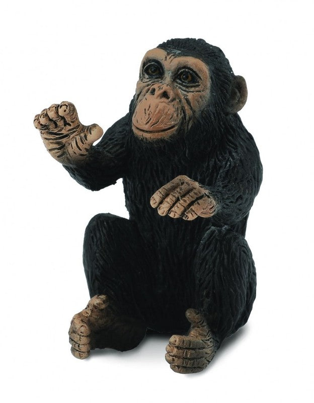 CO Chimp Cub Hugging (4633349357603)