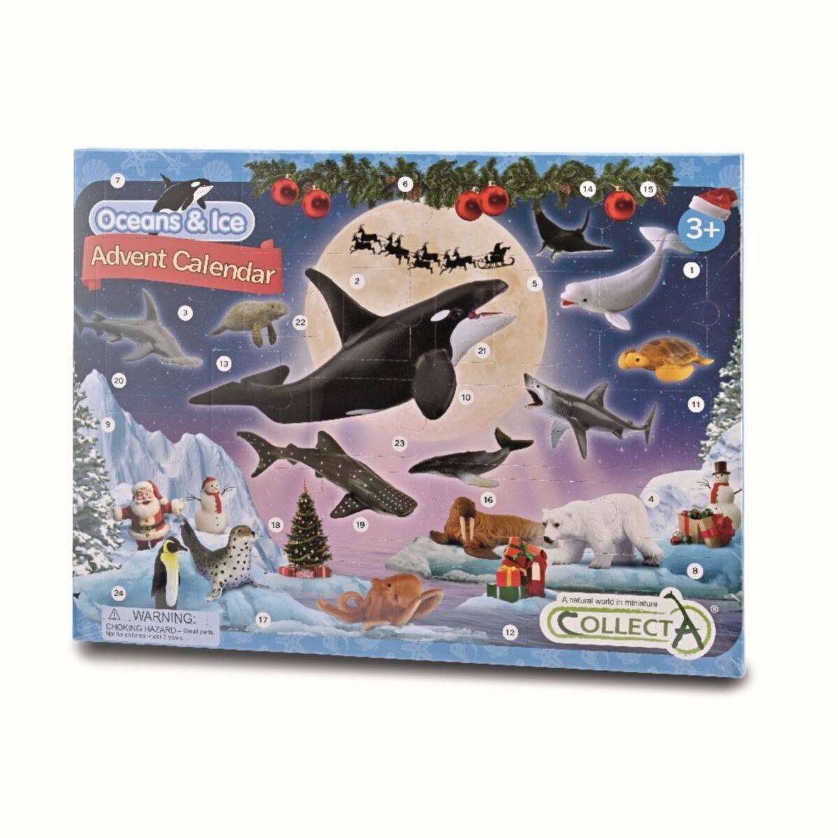 CO Oceans & Ice Advent