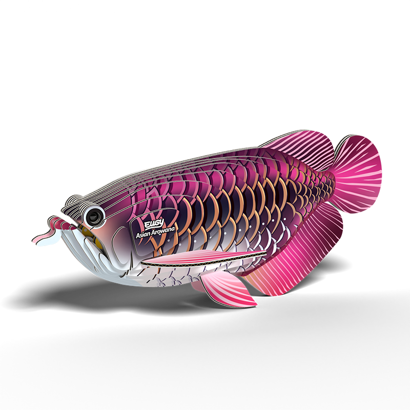 Eugy Asian Arowana (8228384833735)