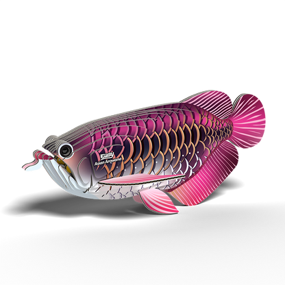 Eugy Asian Arowana (8228384833735)