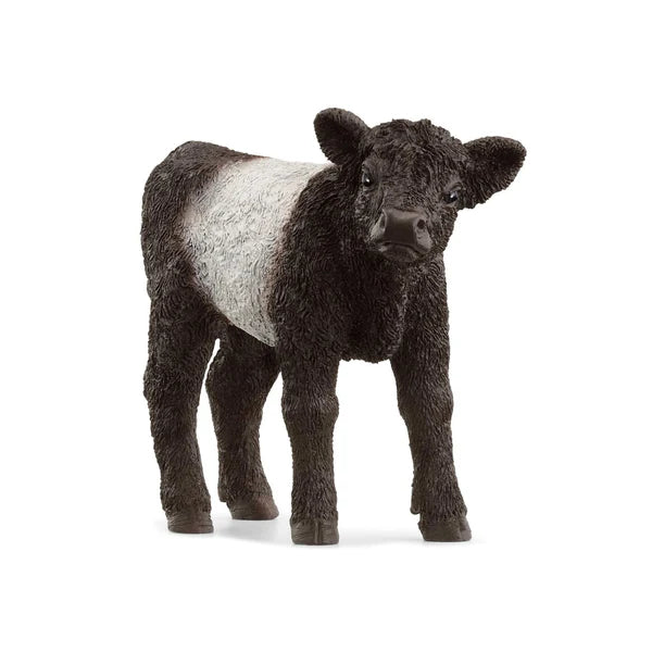 SC Galloway Calf (Red Dot)  (8178437750983)