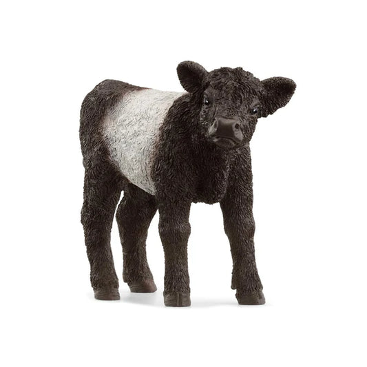 SC Galloway Calf (Red Dot)  (8178437750983)