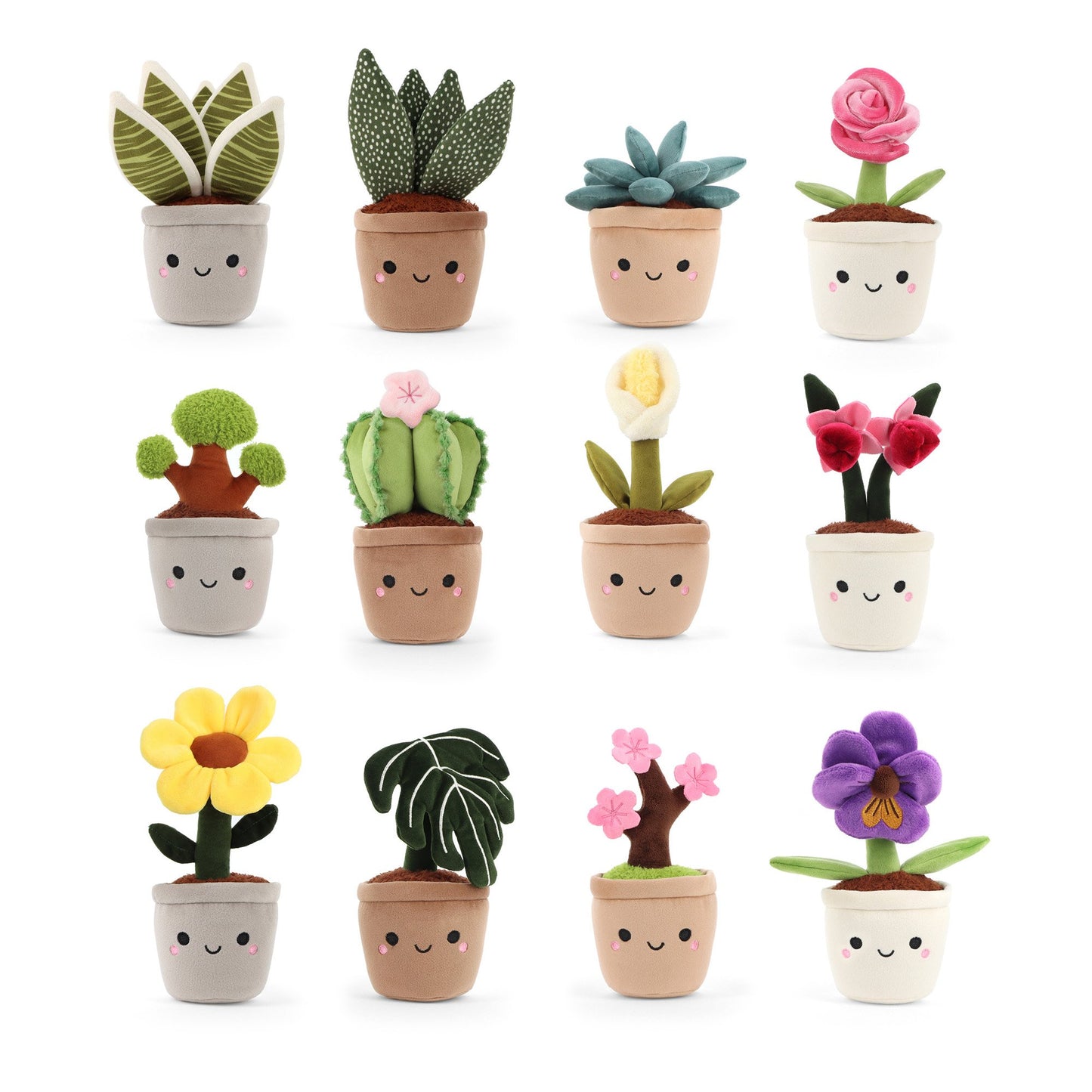 Keeleco Botanical Garden Small Assorted