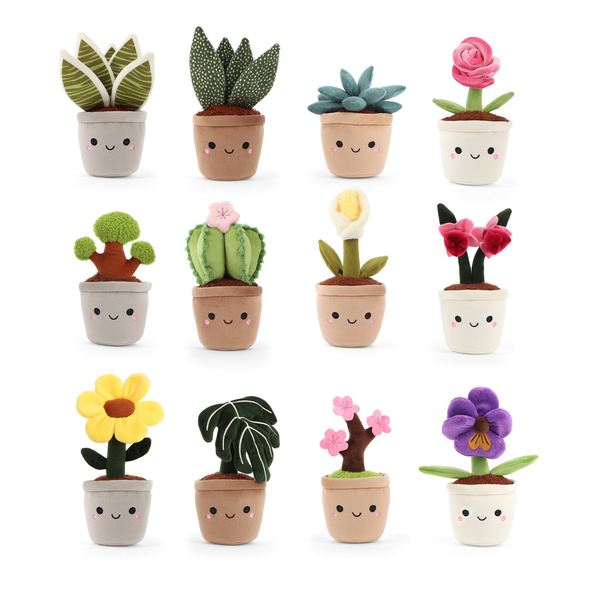 Keeleco Botanical Garden Small Assorted