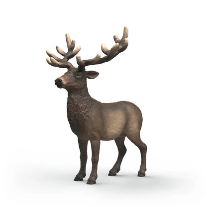 SC Elk (Grey)