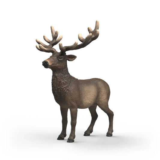 SC Elk (Grey)