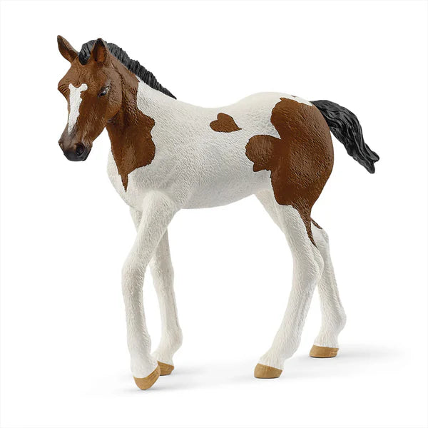 SC Paint Horse Foal (8393300738247)
