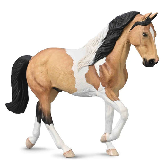 CO Tennesse Walking Horse Stallion - Buckskin Tobiano (XL)
