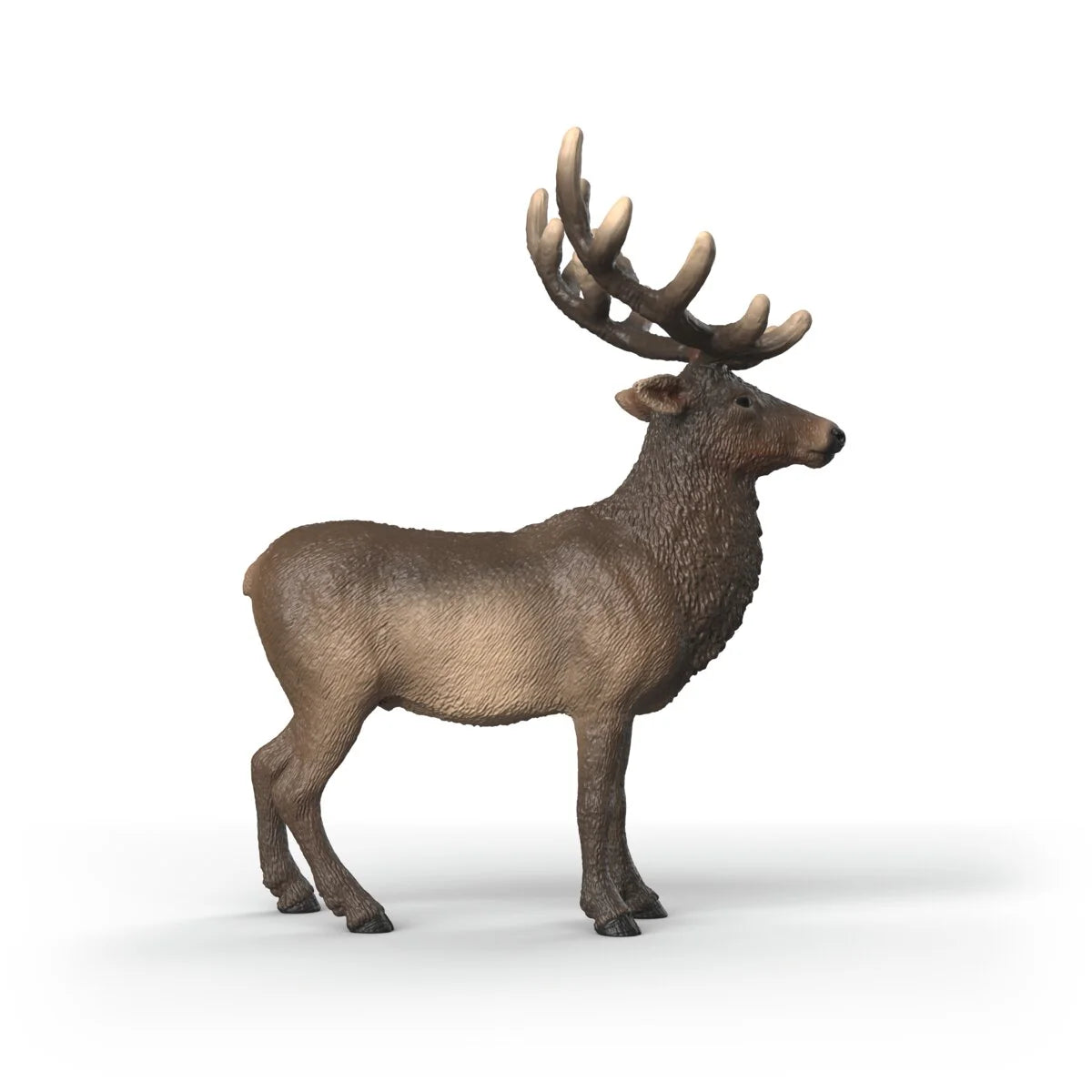 SC Elk (Grey)