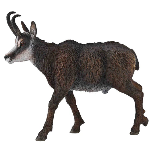 CO Chamois (L)