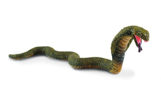 CO King Cobra (M) (4590446477347)
