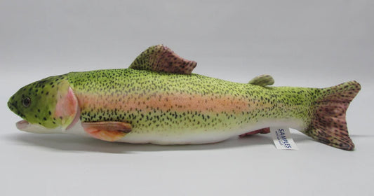 Rainbow Trout