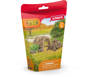 SC Tortoise Home (8344753406151)
