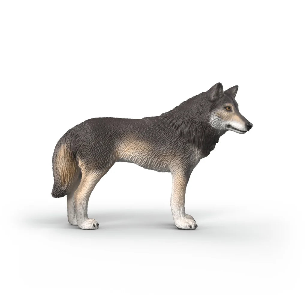 SC American Wolf (Yellow Dot)
