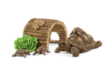 SC Tortoise Home (8344753406151)