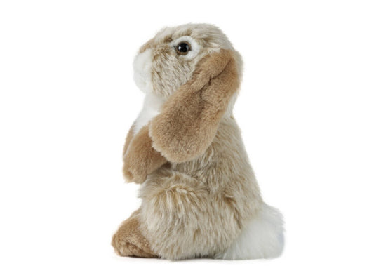 Nibbles Rabbit Honey