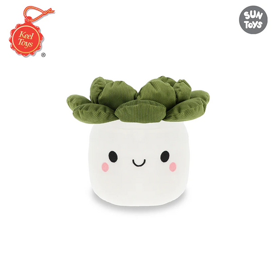 Keel Plant Bobballs Succulent (8298013425863)