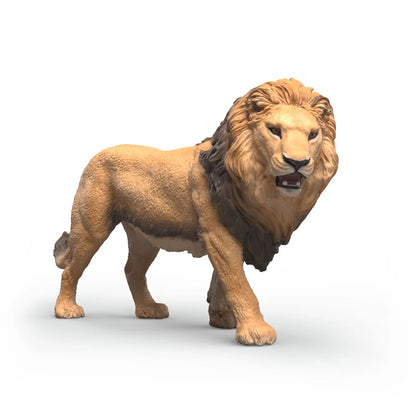 SC Lion