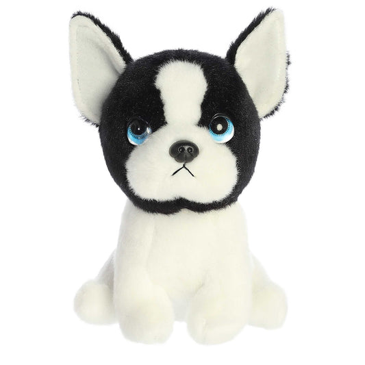 Harvard Boston Terrier