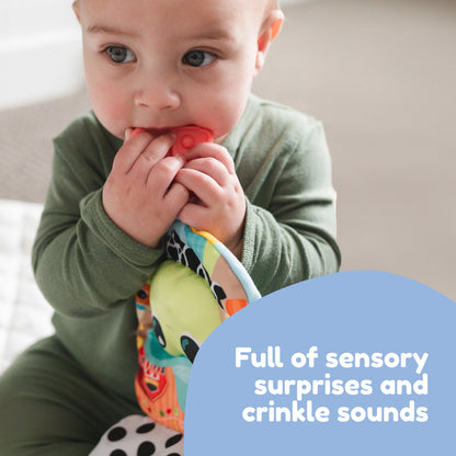 Lamaze Finlee Frog Look Book