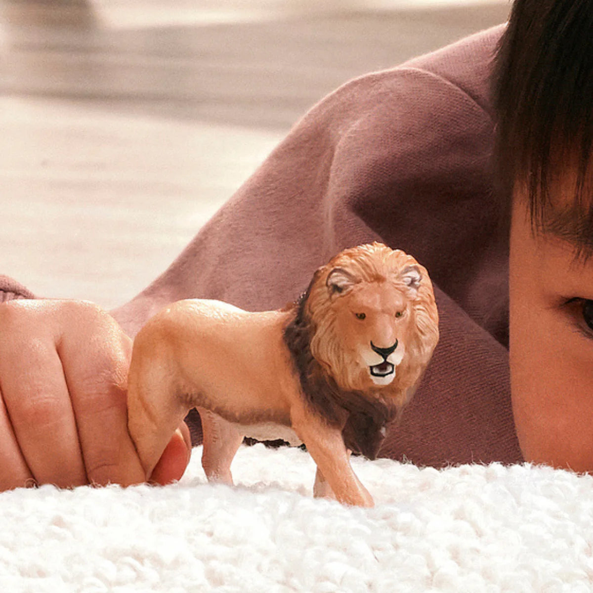 SC Lion