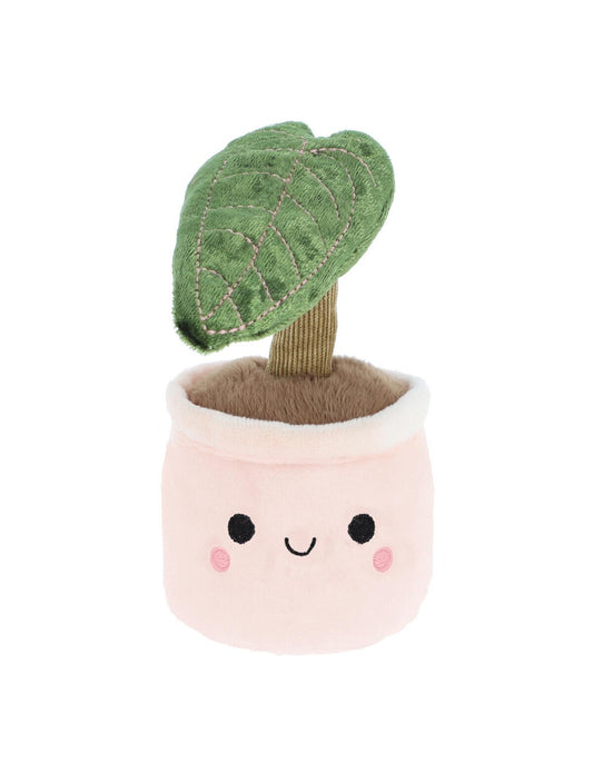 Keel Plant Bobballs Big Leaf (8298013327559)