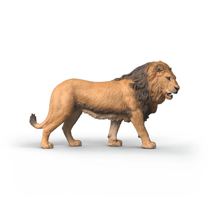 SC Lion