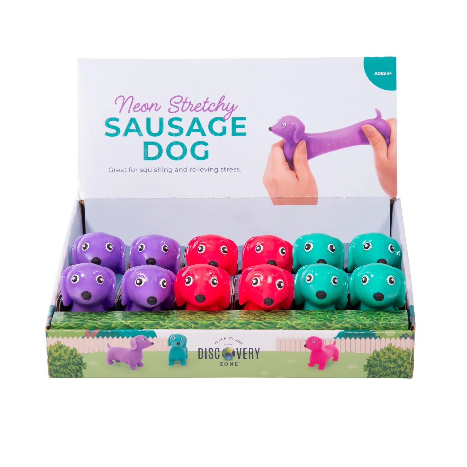 Stretchy Sausage Dog Neon