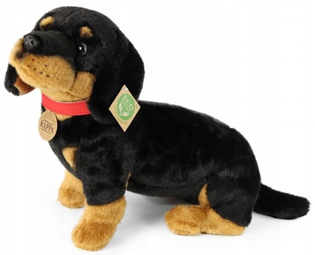 Rappa Dachshund With Collar 30cm