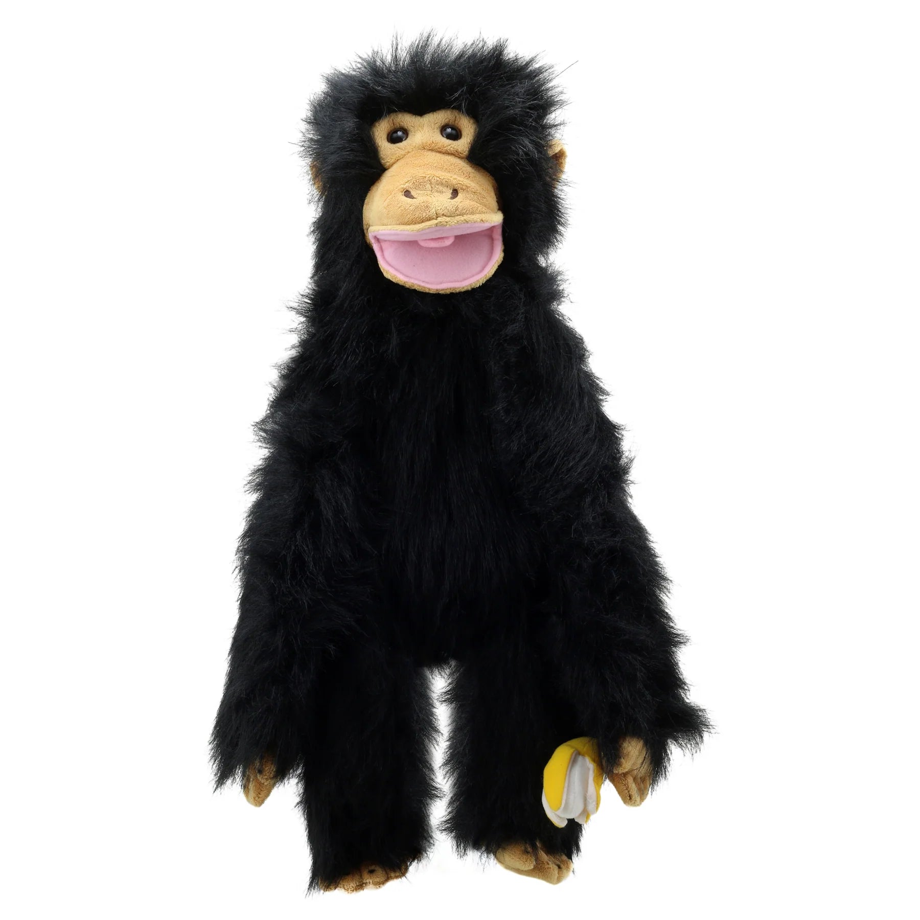 PC Chimp Medium