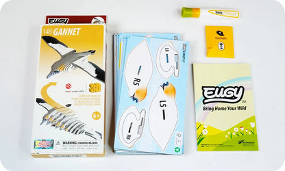 Eugy Gannet