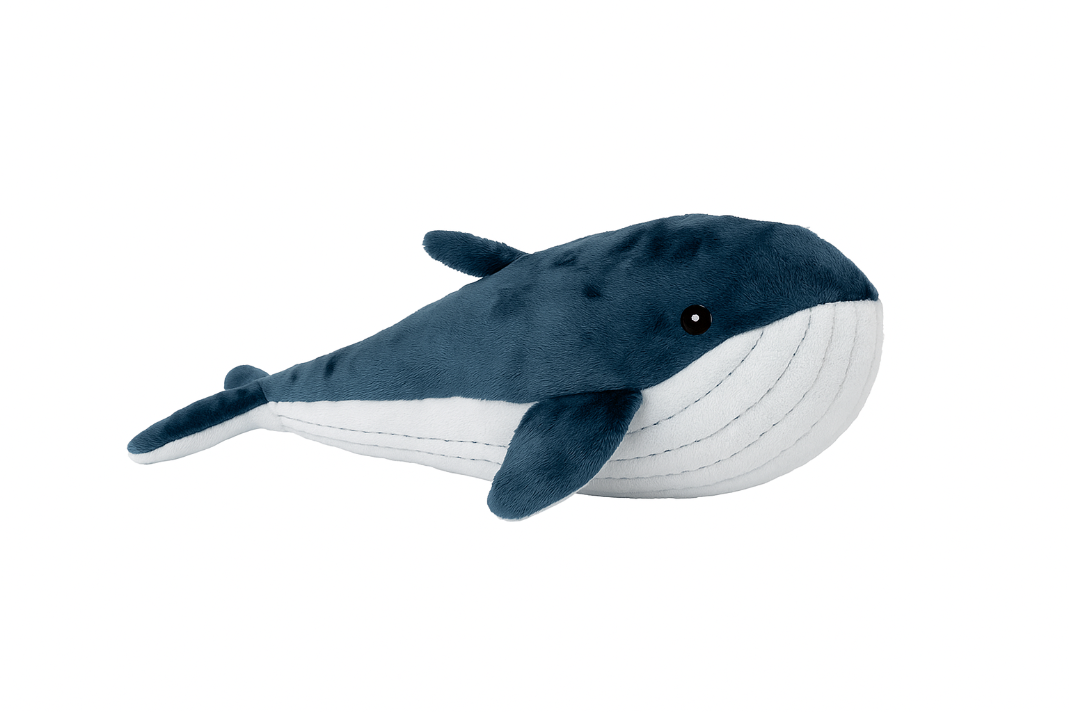 Lulu the Whale