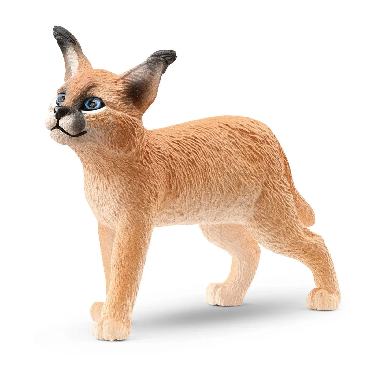 SC Caracal Baby (7655334248647)