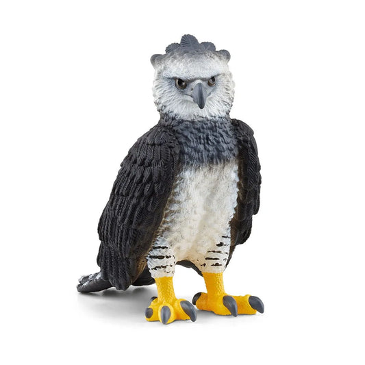 SC Harpy Eagle (7647859671239)