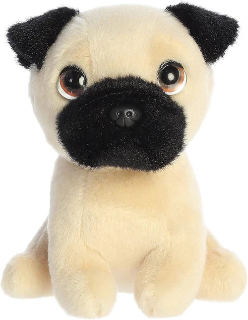 Preston Pug